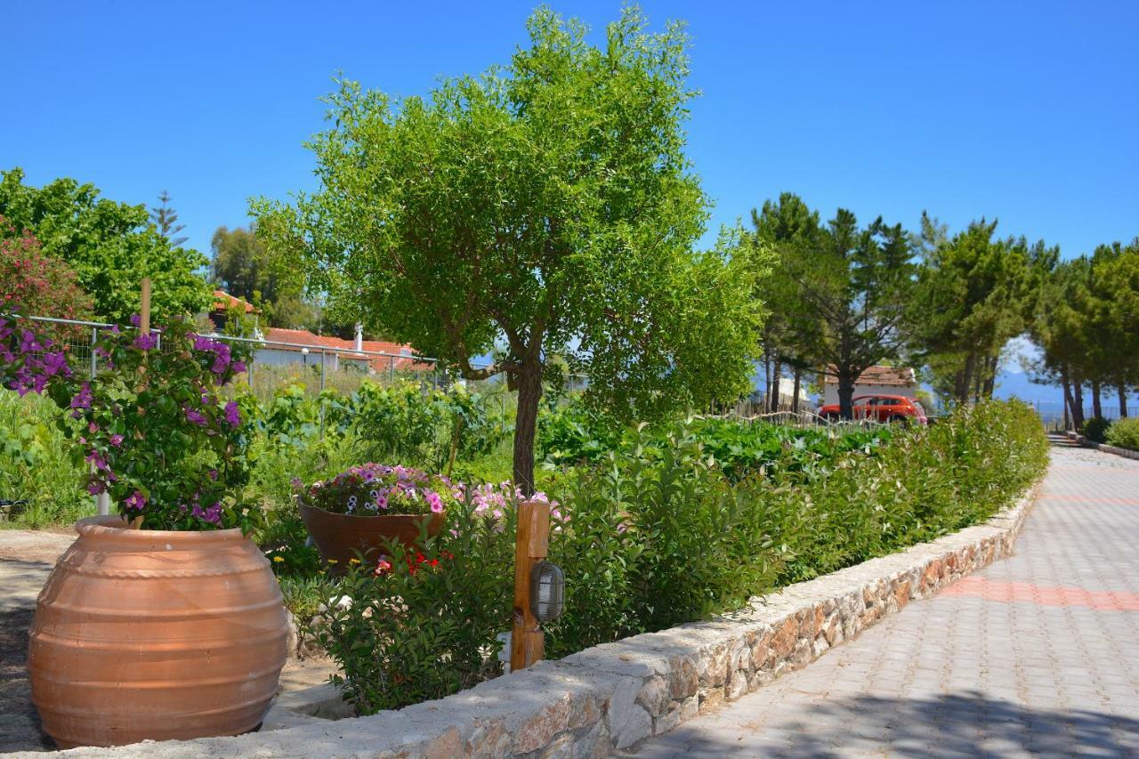 Alexandra Apartments Μελίκια Εξωτερικό φωτογραφία