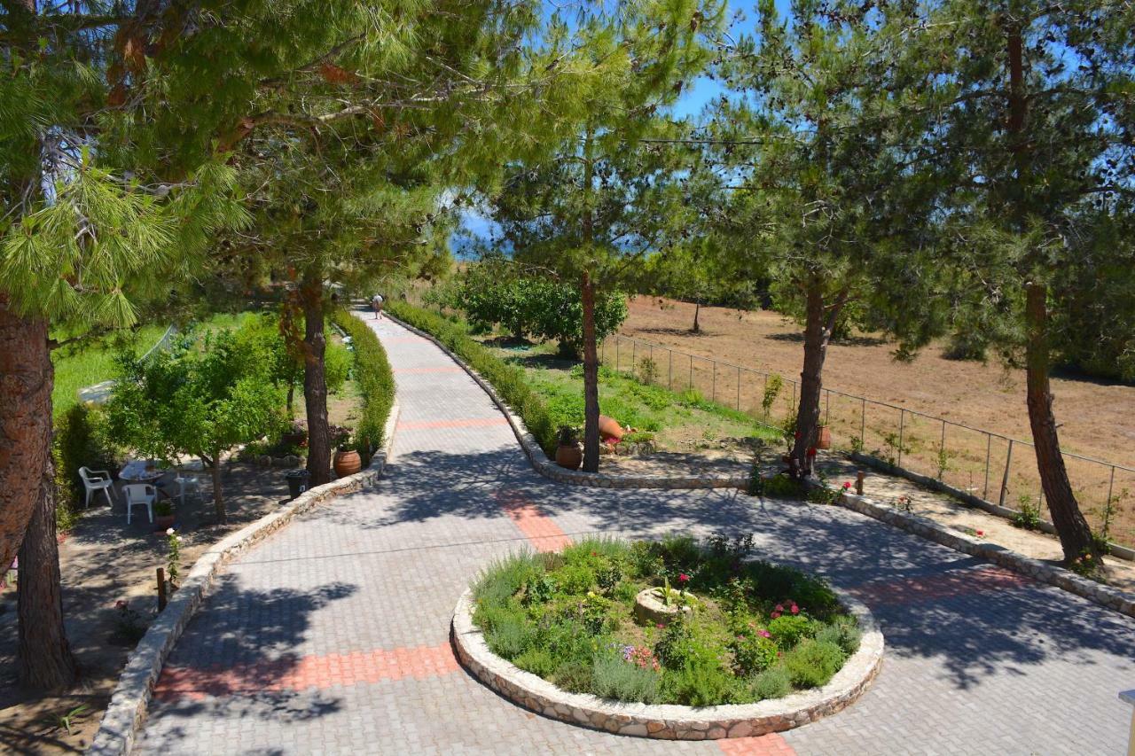 Alexandra Apartments Μελίκια Εξωτερικό φωτογραφία